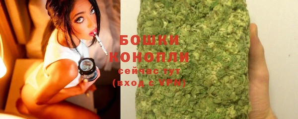 молекула духа Няндома
