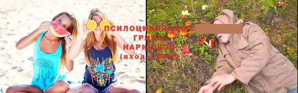дурь Абинск