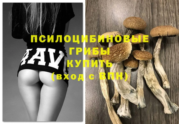 стафф Абаза