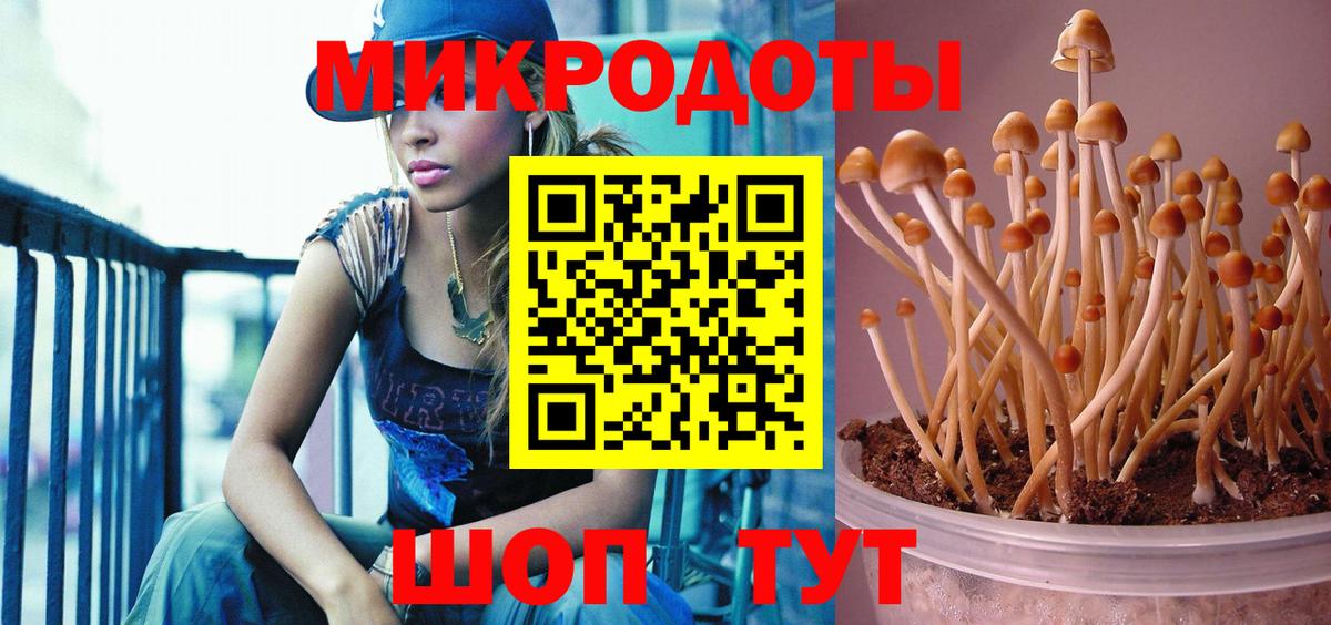 Псилоцибиновые грибы мухоморы  Вход с VPN  Псилоцибиновые грибы MAGIC MUSHROOMS  Хабаровск 