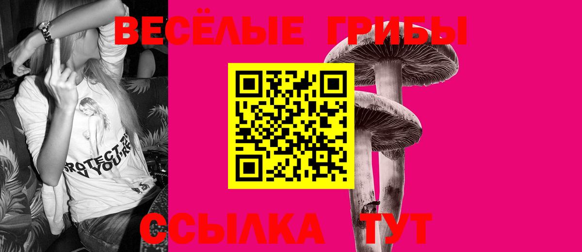 Галлюциногенные грибы Cubensis Хабаровск